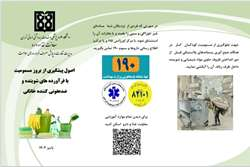 پمفلت پیشگیری از مسمومیت با مواد شیمیایی